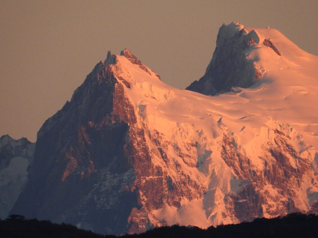 Fauna patagónica al amanecer